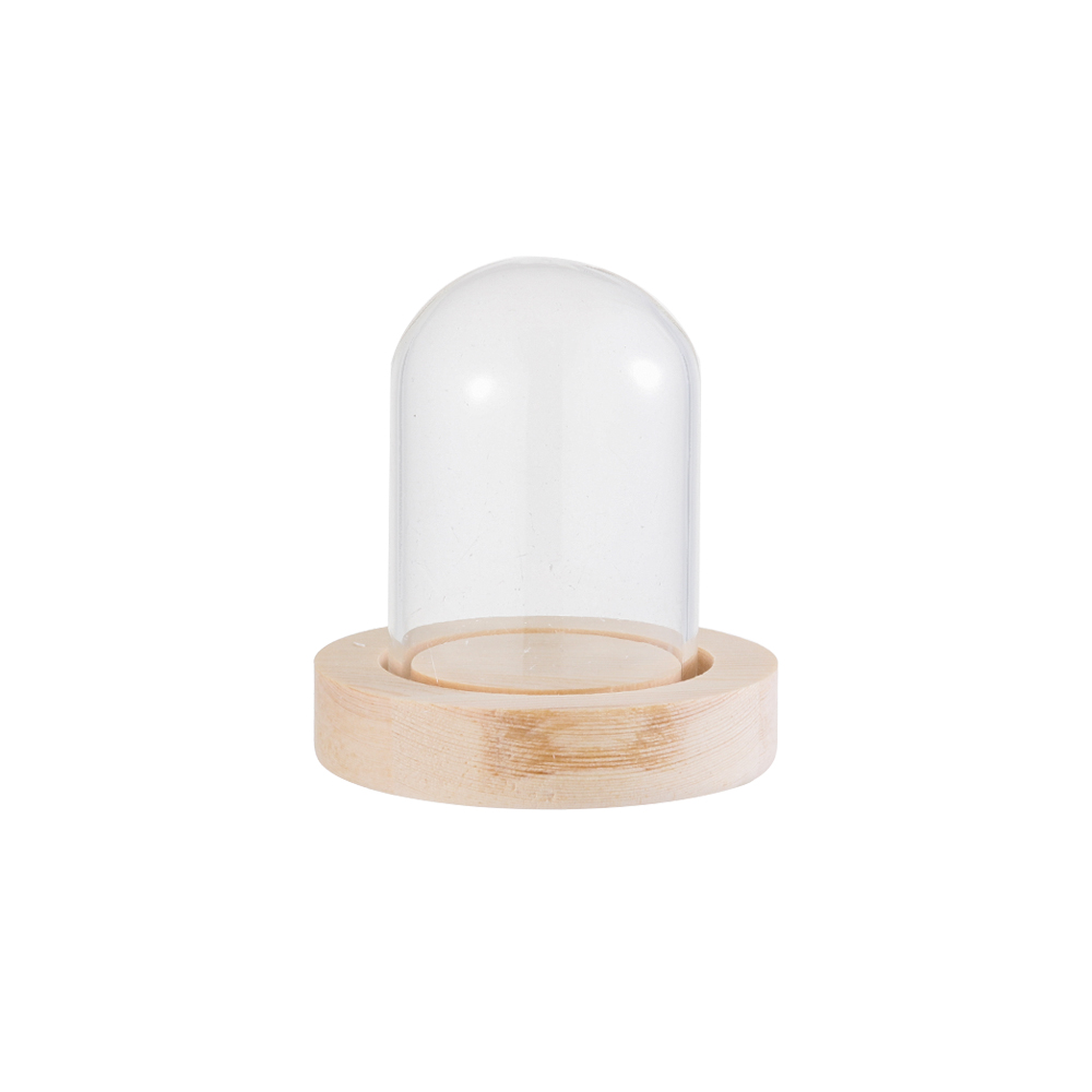 Vase Decor - Luci decorative per la casa, terrario,