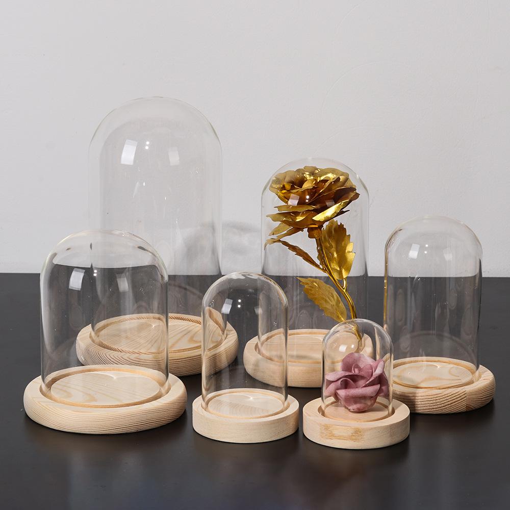 Luci decorative per la casa, t - Vase Decor recensione e prezzo